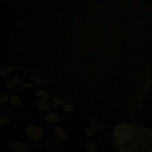 Meet your Posher, Stephanee